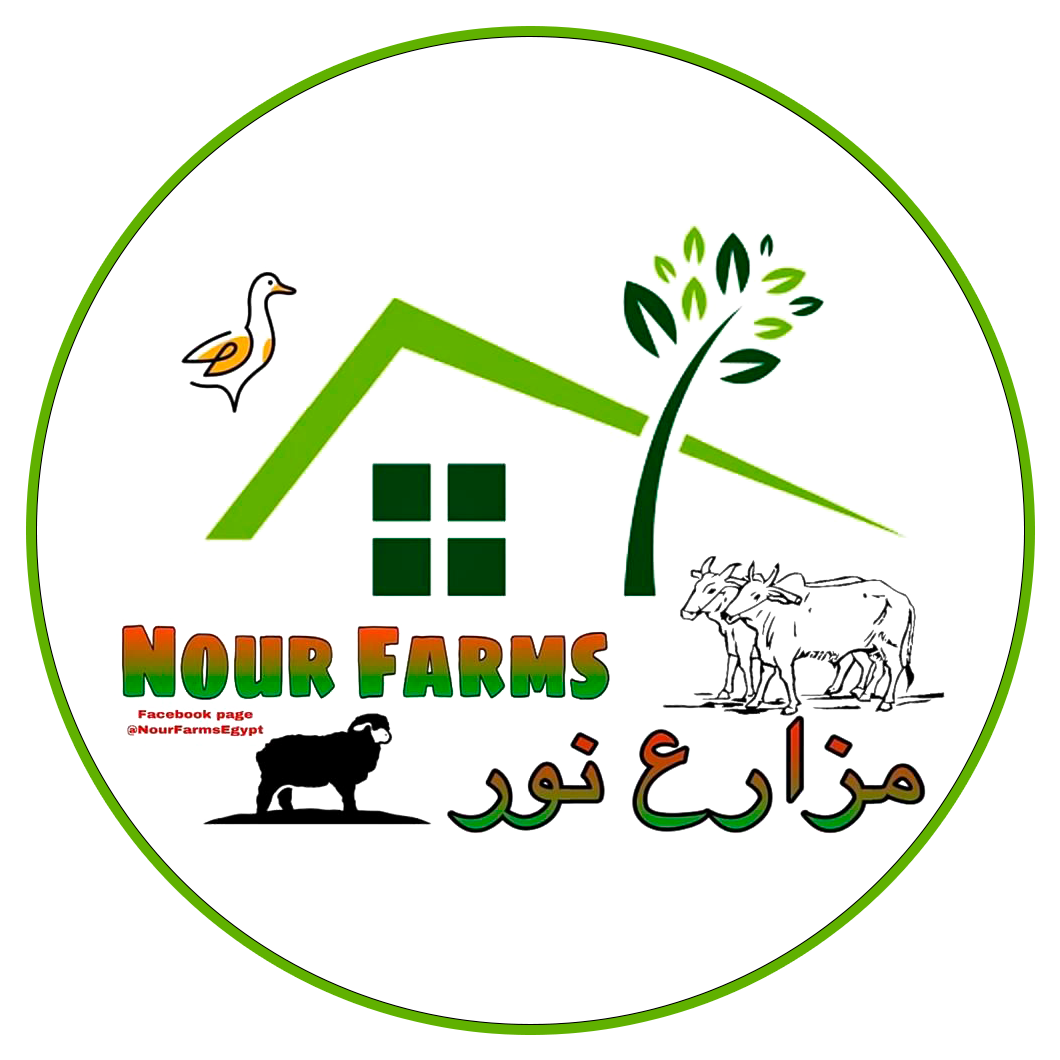 Nour Farms